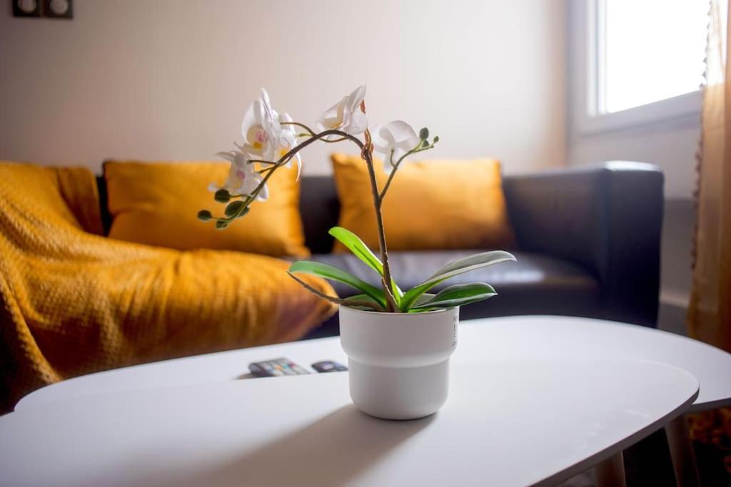 T2 Cosy & Moderne Avec Parking Prive Gratuit A Βιλερμπάν Εξωτερικό φωτογραφία